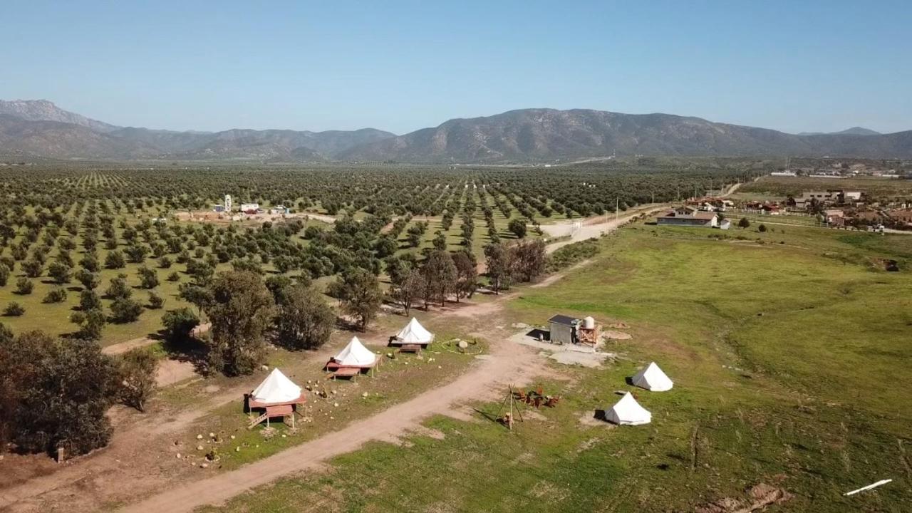 Lago Valle Wine Glamping Valle de Guadalupe Bagian luar foto