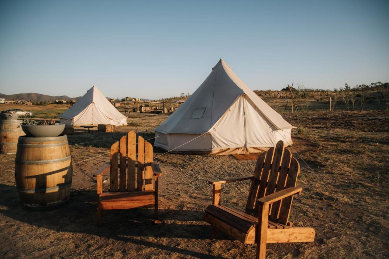 Lago Valle Wine Glamping Valle de Guadalupe Bagian luar foto