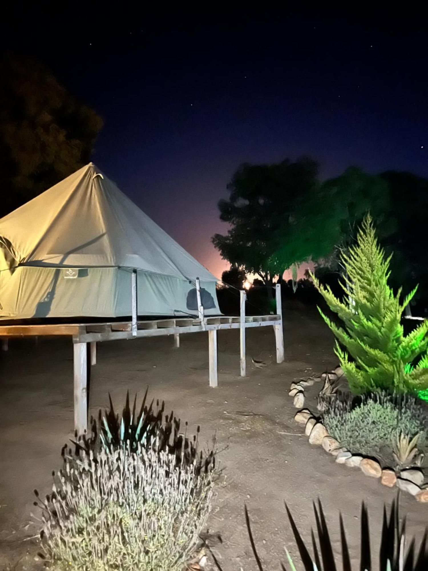 Lago Valle Wine Glamping Valle de Guadalupe Bagian luar foto
