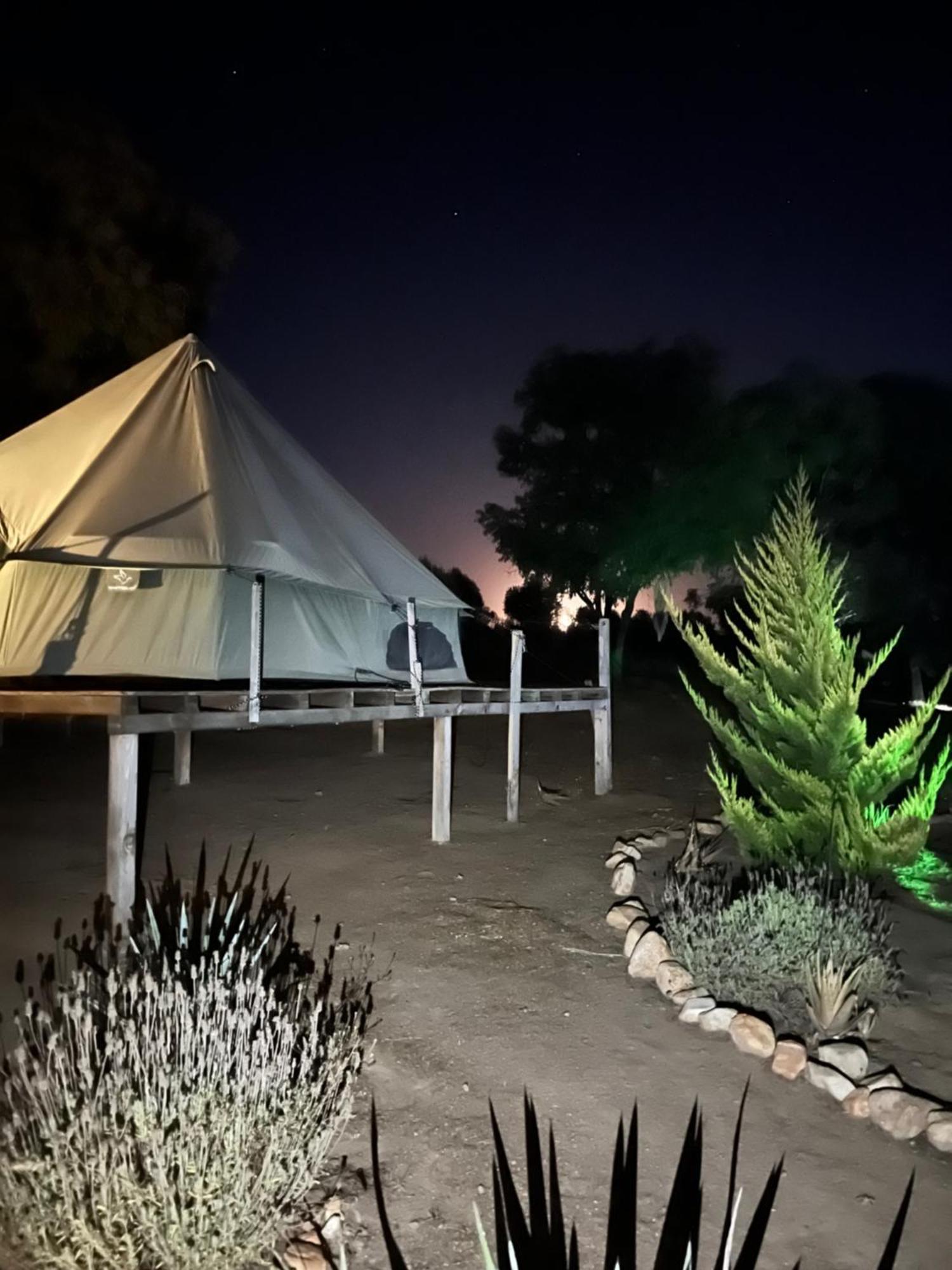 Lago Valle Wine Glamping Valle de Guadalupe Bagian luar foto